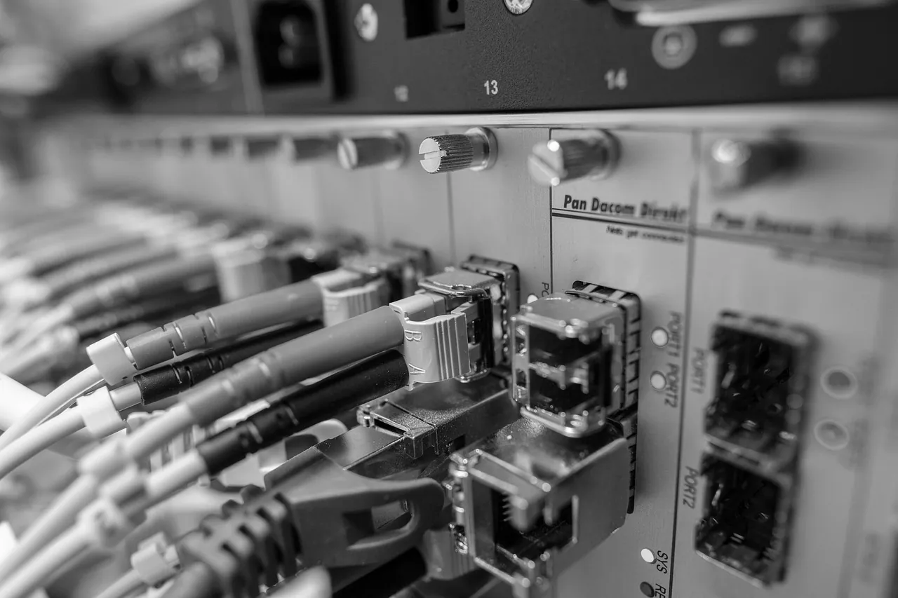 Netzwerkgerät mit sortierten Patchkabeln und Statusanzeigen